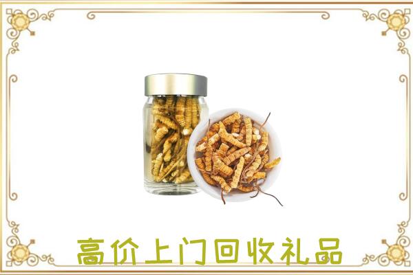 阿拉善右旗周边回收虫草